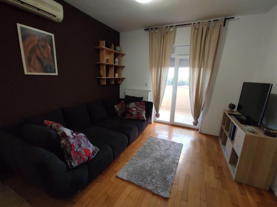 Anthurium - Selfcheckin - Nomad Zagreb